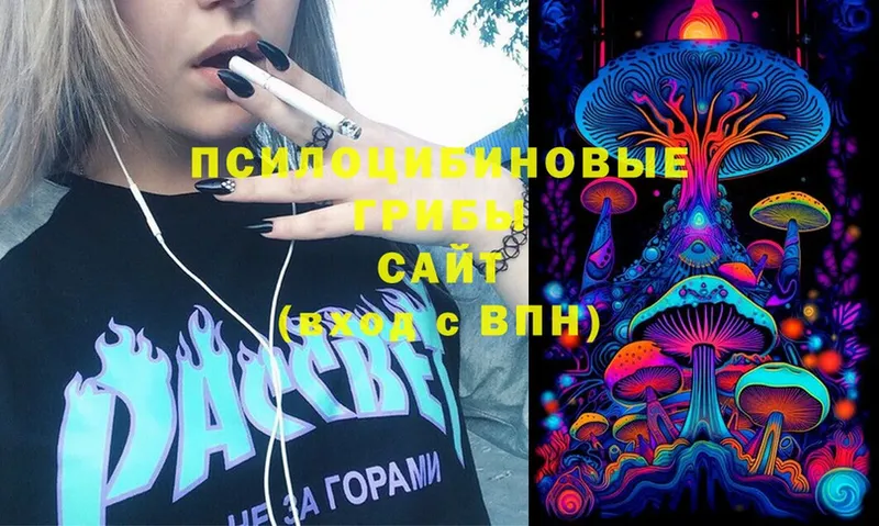 OMG   Сертолово  Галлюциногенные грибы Cubensis 